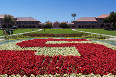 stanford university